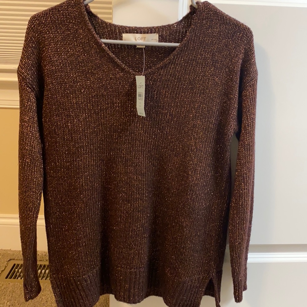 Brown/gold sparkle Loft sweater